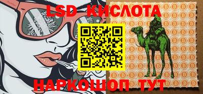 стафф Можга