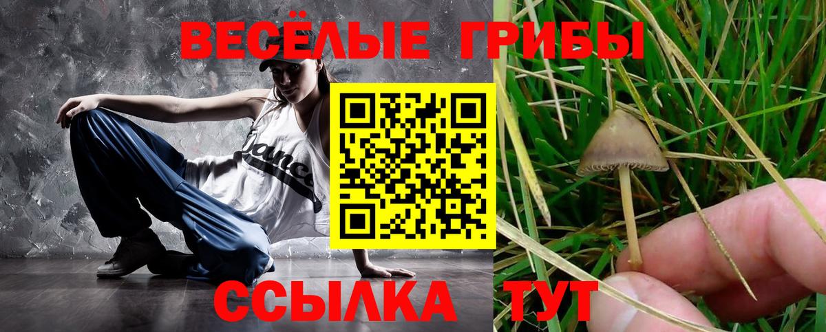 Псилоцибиновые грибы ЛСД Симферополь